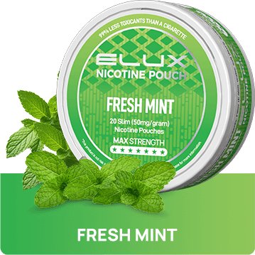 Buy Bulk Wholesale Elux Nicotine Pouches - Pack of 10 - vapesourceuk