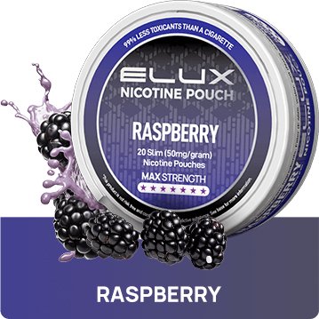 Buy Bulk Wholesale Elux Nicotine Pouches - Pack of 10 - vapesourceuk