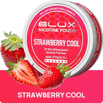 Buy Bulk Wholesale Elux Nicotine Pouches - Pack of 10 - vapesourceuk