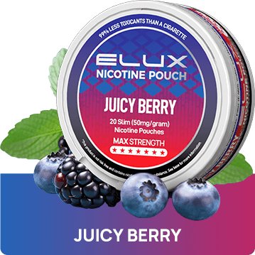 Buy Bulk Wholesale Elux Nicotine Pouches - Pack of 10 - vapesourceuk