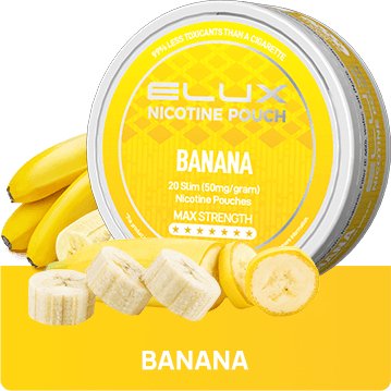 Buy Bulk Wholesale Elux Nicotine Pouches - Pack of 10 - vapesourceuk