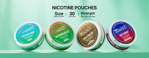 Buy Bulk Wholesale Elux Nicotine Pouches - Pack of 10 - vapesourceuk