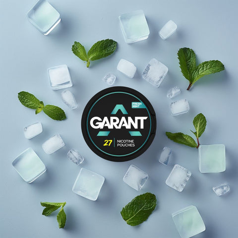 Buy Bulk Wholesale Garant Nicotine Pouches - Pack of 10 - vapesourceuk
