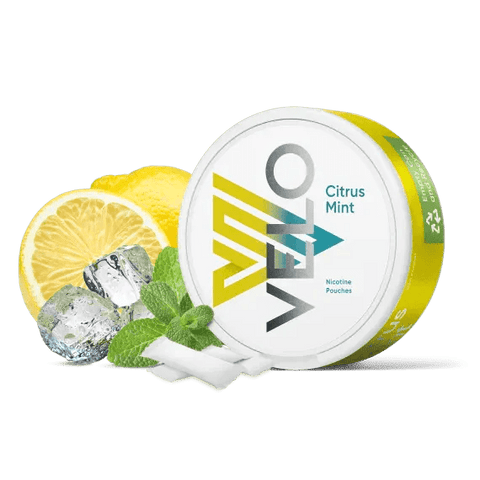 Buy Bulk Wholesale VELO Nicotine Pouches - 10 pack - vapesourceuk