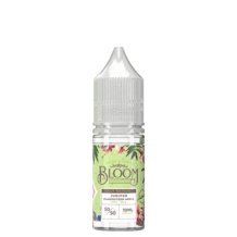 Buy Bulk Wholesale Bloom 10ml Nic Salt (Pack of 10) - vapesourceuk