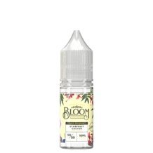 Buy Bulk Wholesale Bloom 10ml Nic Salt (Pack of 10) - vapesourceuk