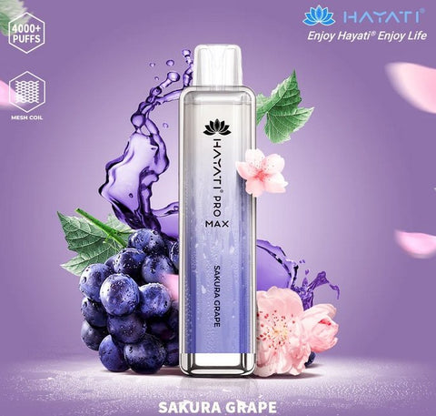 Buy Bulk Wholesale Hayati Pro Max 4000 Puffs Disposable Vape Pack of 10 - vapesourceuk