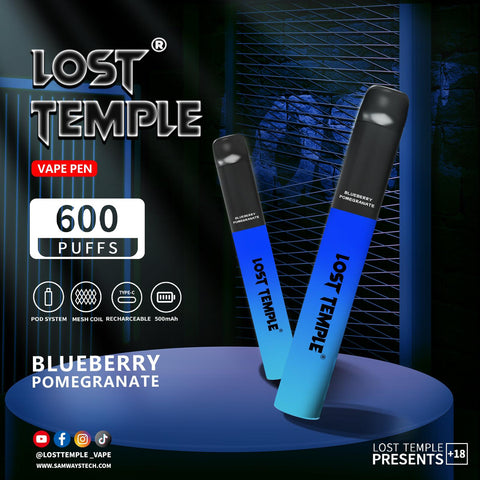 Buy Bulk Wholesale Lost Temple 600 Puffs Disposable Vape Device Kit Box of 10 - vapesourceuk